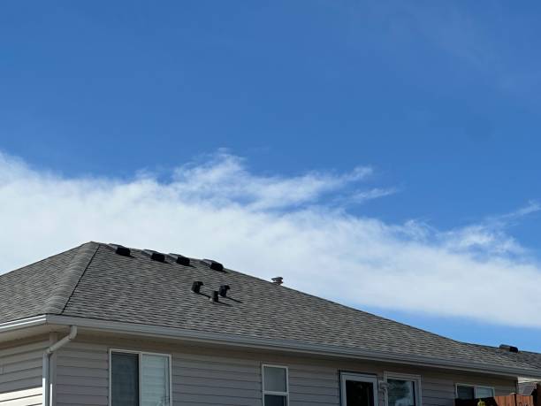 Best Roof Maintenance  in Montverde, FL